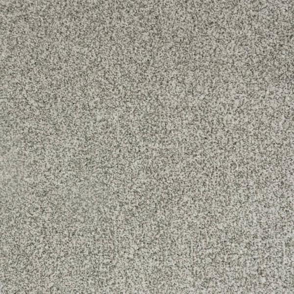 Lifeproof with Petproof Technology Lurelin-Vision-Beige 68 oz. Triexta Polyester Textured Carpet - Installation Required