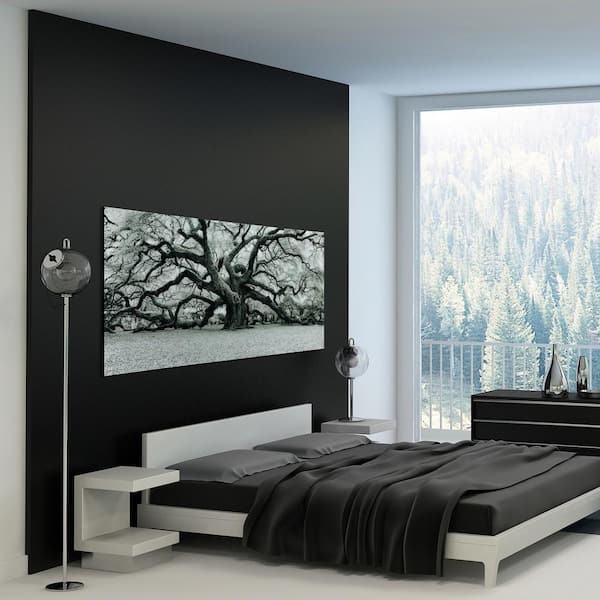 The Angel Oak Frameless Free Floating Tempered Art Glass by EAD Art Coop Wall Ar