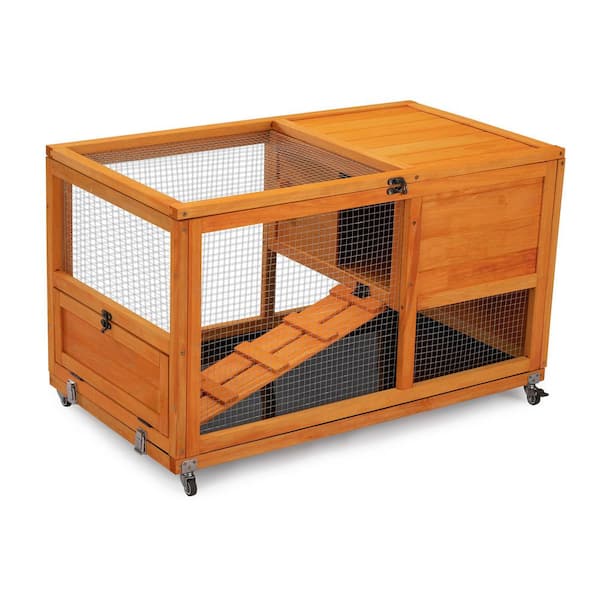 y⭐︎Rabbit 2023 1 oz Rwandan Silver Lunar Rabbit Coin (BU) l JM Bullion™