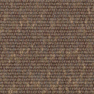 Social Network IV  - Marble - Brown 21 oz. Nylon Loop Installed Carpet