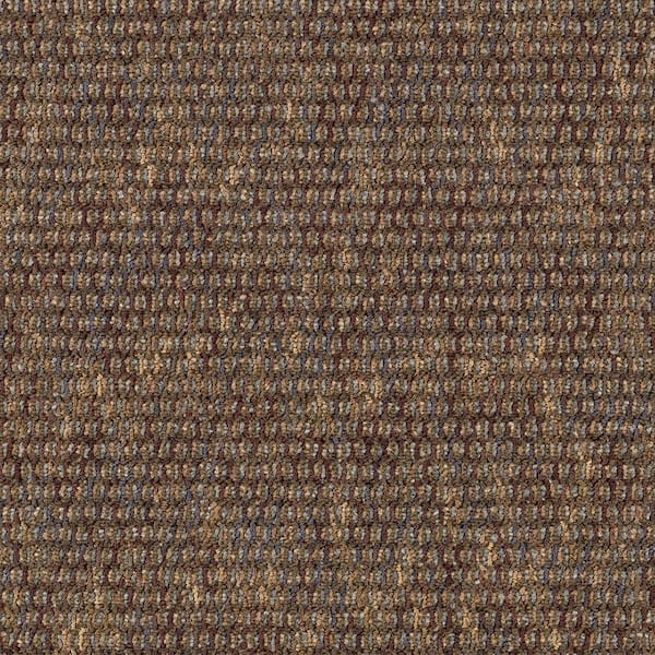 TrafficMaster Social Network IV  - Marble - Brown 21 oz. Nylon Loop Installed Carpet
