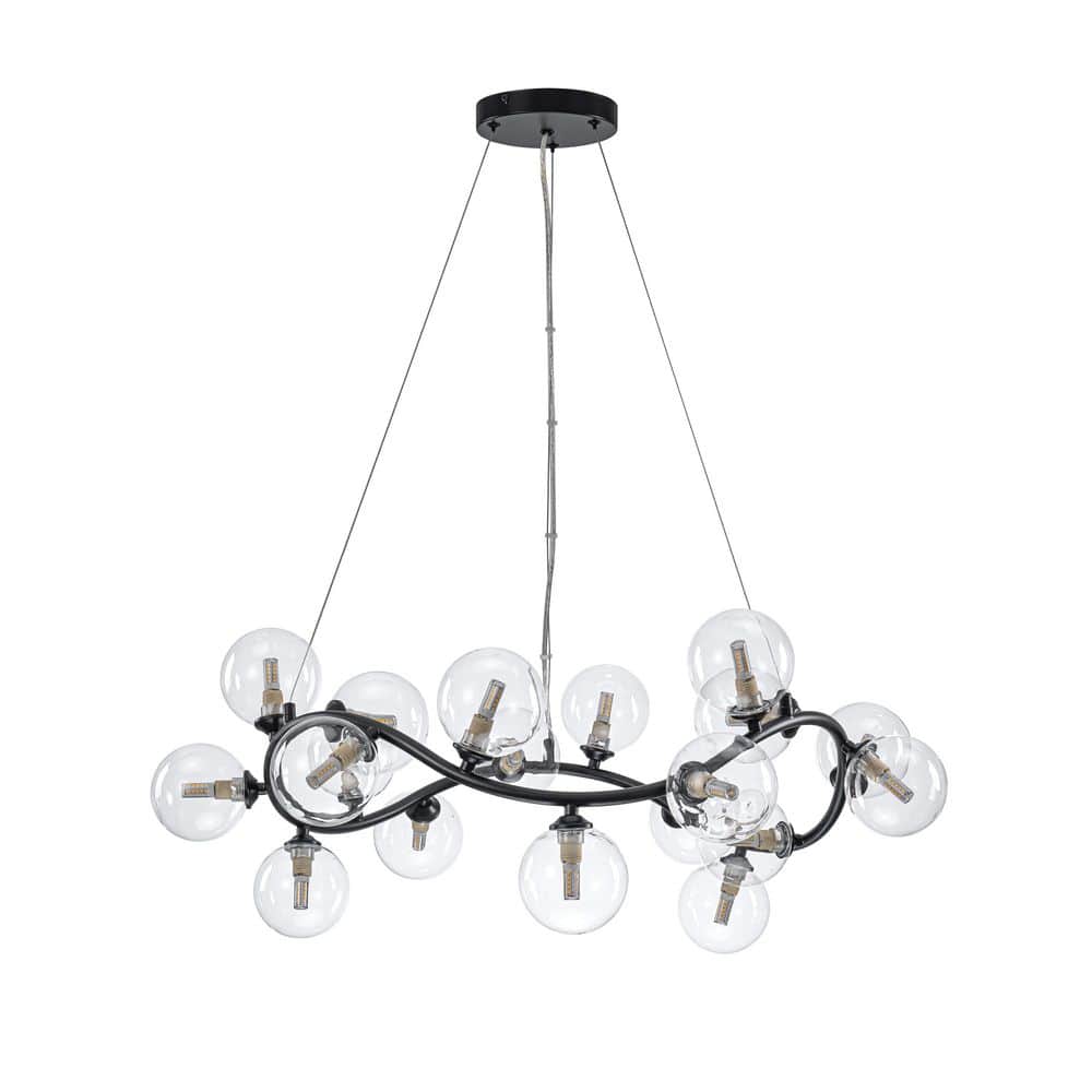 19-Light Black Modern Ring Shaped Chandelier with Clear Glass Shades for Di