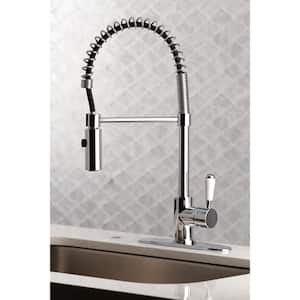 Paris Single-Handle Pull-Down Sprayer Kitchen Faucet in Polished Chrome