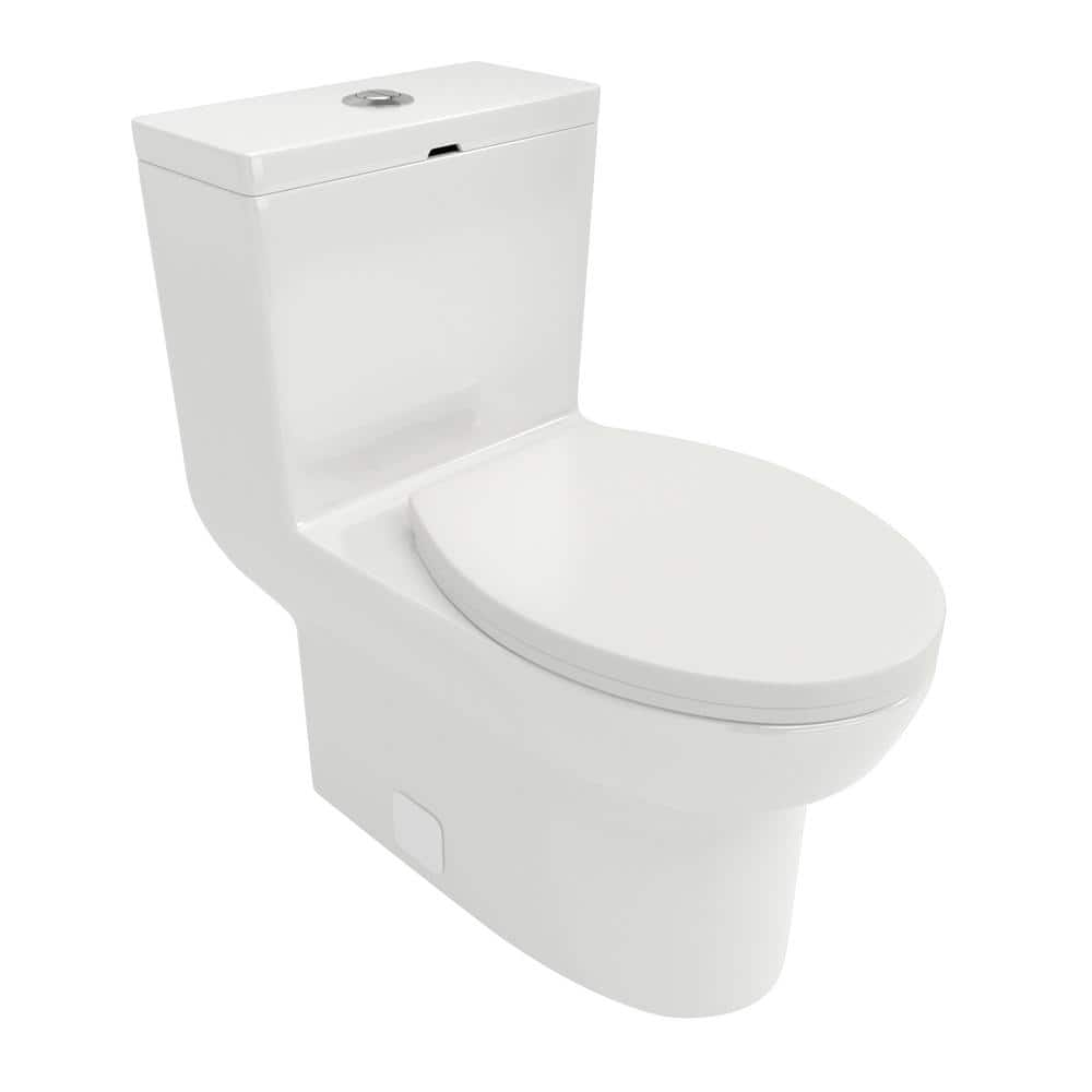Ceramic 12 in. 1-Piece 1.6/1.1 Dual Flush Elongated Toilet in White with Soft Closing Seat price history on PriceWatchPro