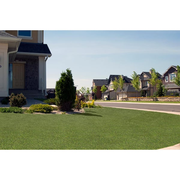 Viridian Green 15 ft. Wide x 45 mm Cut to Length Green Artificial Grass Turf
