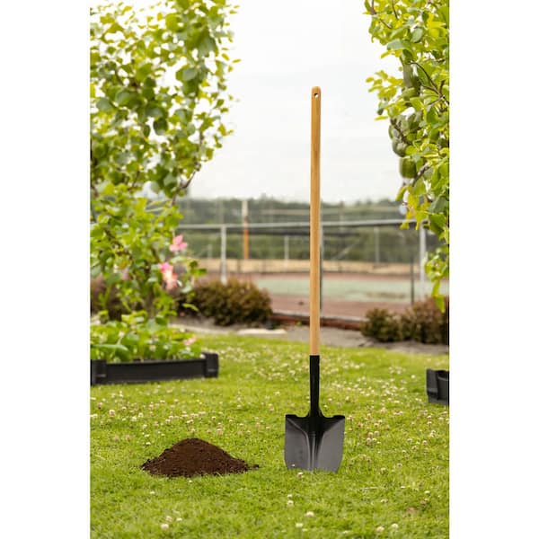 PRIVATE BRAND UNBRANDED - 43.3 in. L Wood Handle Digging Carbon Steel Shovel