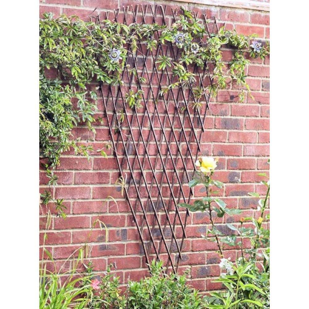 59'' Brown Willow Expandable Fan Trellis