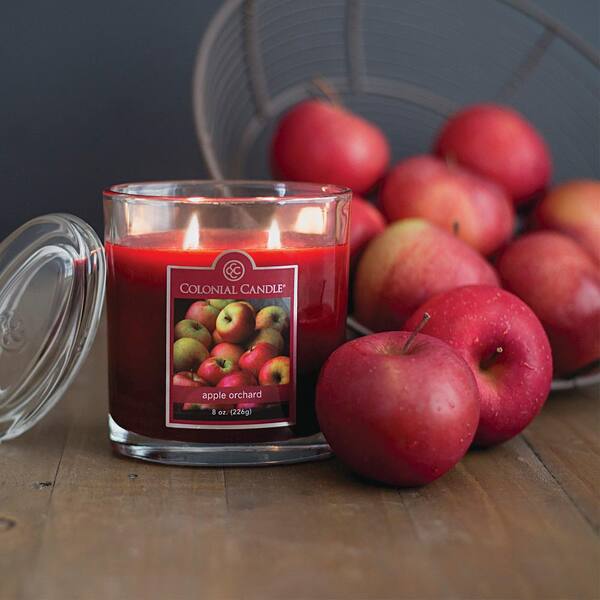 Colonial Candle 22 oz. Apple Orchard Oval Jar Candle