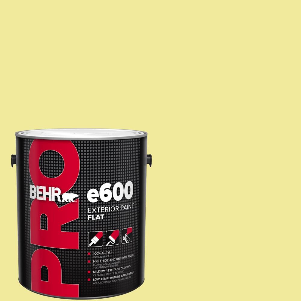 1 gal. #400A-3 Pear Flat Exterior Paint price history on PriceWatchPro