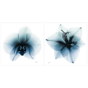 "Glacial Orchid and Amaryllis" Unframed Free Floating Tempered Glass Panel Diptych Wall Art Print 38 in. x 38 in