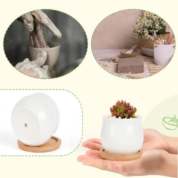 2.5 Inch White Mini Ceramic Succulent Planters with Bamboo Tray