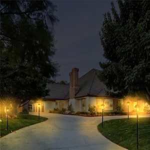 Solar Black Integrated LED Bulb Garden and Path Light with Amber or White Light