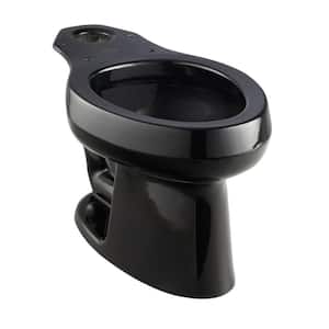 Wellworth Elongated Toilet Bowl Only in Black Black