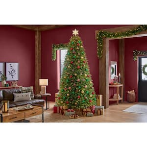 9 ft. Pre-Lit LED Jackson Noble Fir Artificial Christmas Tree