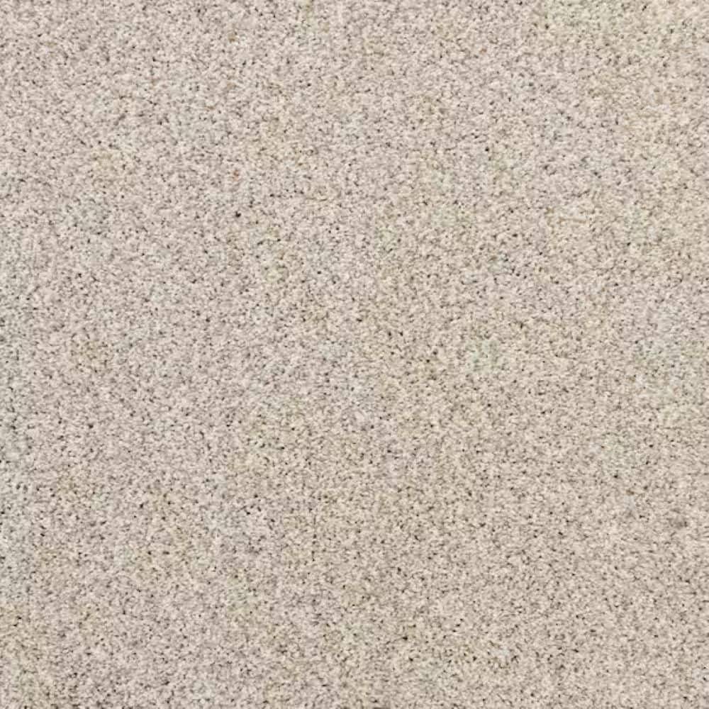 8 in. x 8 in. Texture Carpet Sample-Magalynn I-Color Stoney Path price history on PriceWatchPro