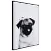 Empire Art Direct Doberman B and W Pet Paintings on Printed Glass Encased  with a Gunmetal Anodized Frame Animal Art Print, 24 in. x 18 in.  AAGB-JP1044-2418 - The Home Depot
