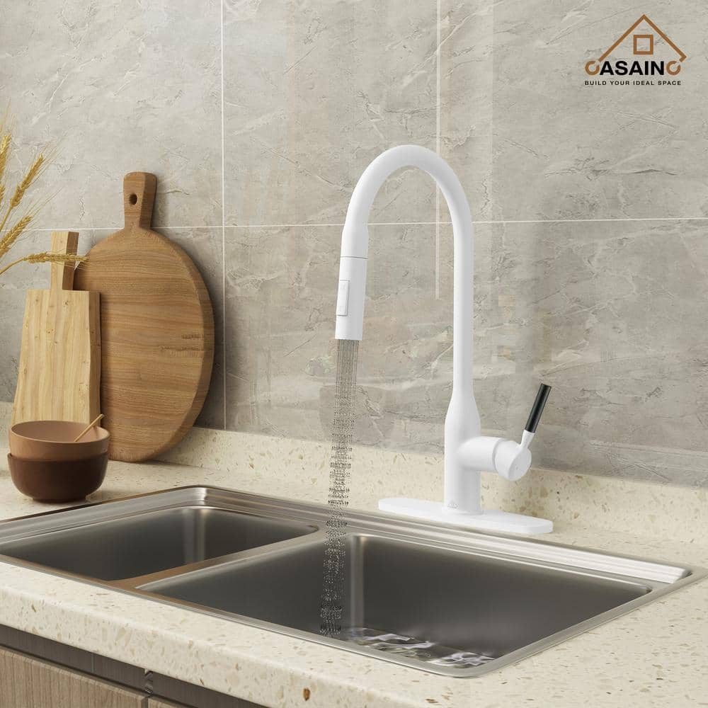 CASAINC Single Handle Pull Down Sprayer Kitchen Faucet with Advanced ...