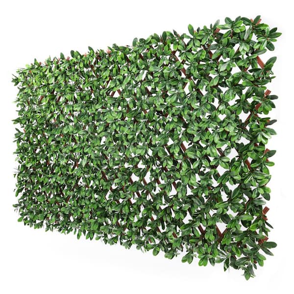 NATURAE DECOR 40 in. x 80 in. PVC Expandable Trellis Artificial Ficus Leaves