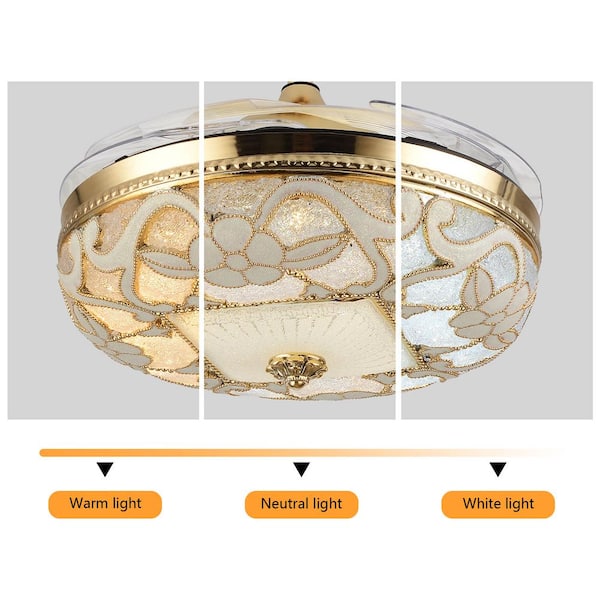 m0521✨ Amazon.com: OAUTOO 20pcs Bumper Cover Wheel Arch Flare