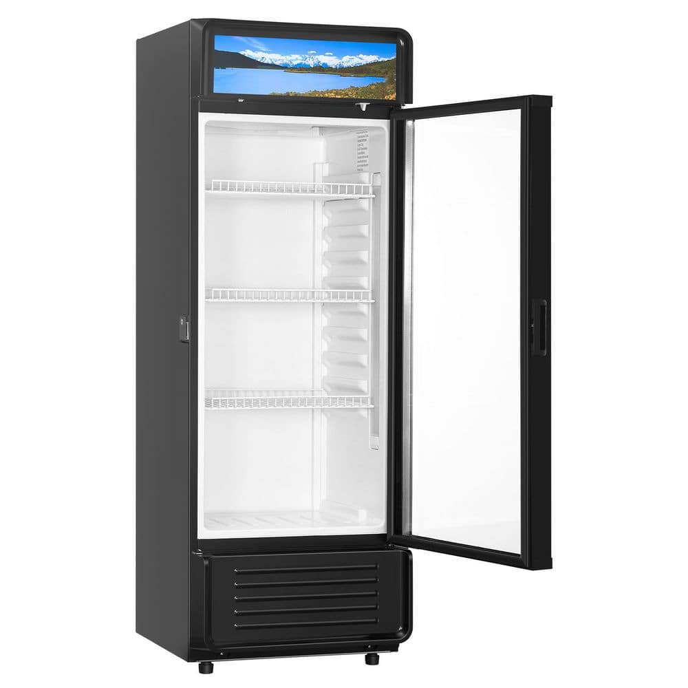 Commercial Merchandiser Refrigerator 12.2 cu. ft. Glass Door Display Adjustable Shelve Soft LED Light 2025 Upgrade Black