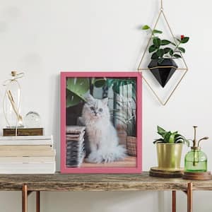 Modern 11 in. x 14 in. Hot Pink Picture Frame (Set of 2)