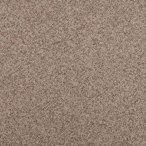 Bradworth  - Outback - Beige 15 ft. 31 oz. Polyester Loop Installed Carpet