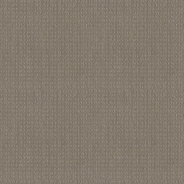 Lifeproof Boxton - Virtual Taupe - Brown 32.7 oz. Nylon Pattern Installed  Carpet HDF0100791 - The Home Depot