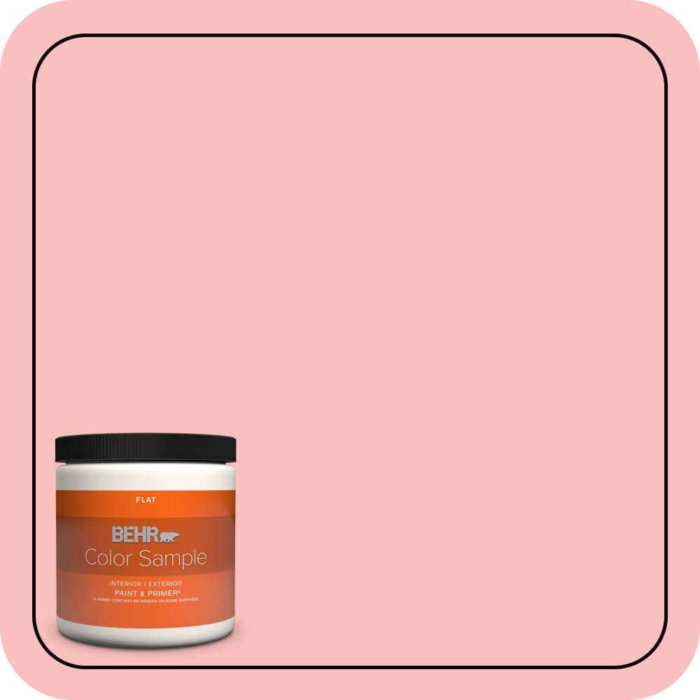 8 oz. #140A-3 Carnation Bloom Flat Interior/Exterior Paint & Primer Color Sample price history on PriceWatchPro