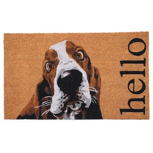 Brown/White Basset Hound 17 in. x 29 in. Doormat