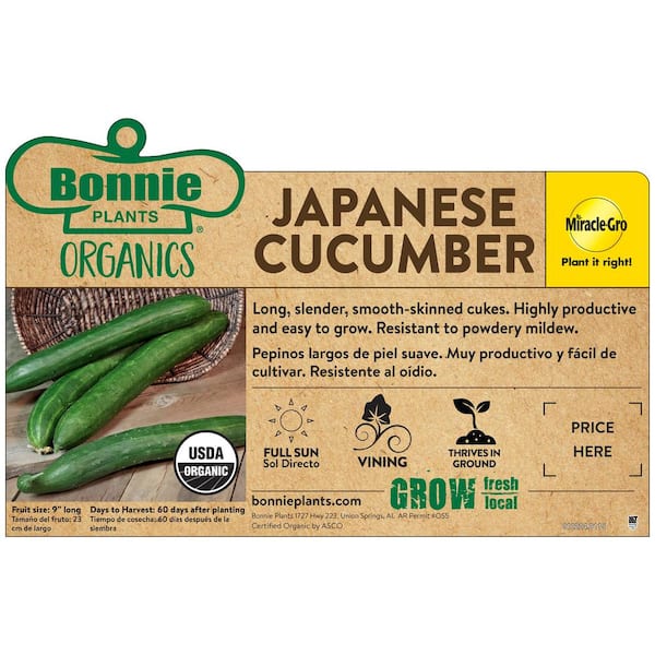 Bonnie Plants 19 oz. Organic Japanese Cucumber Plant 120460 - The
