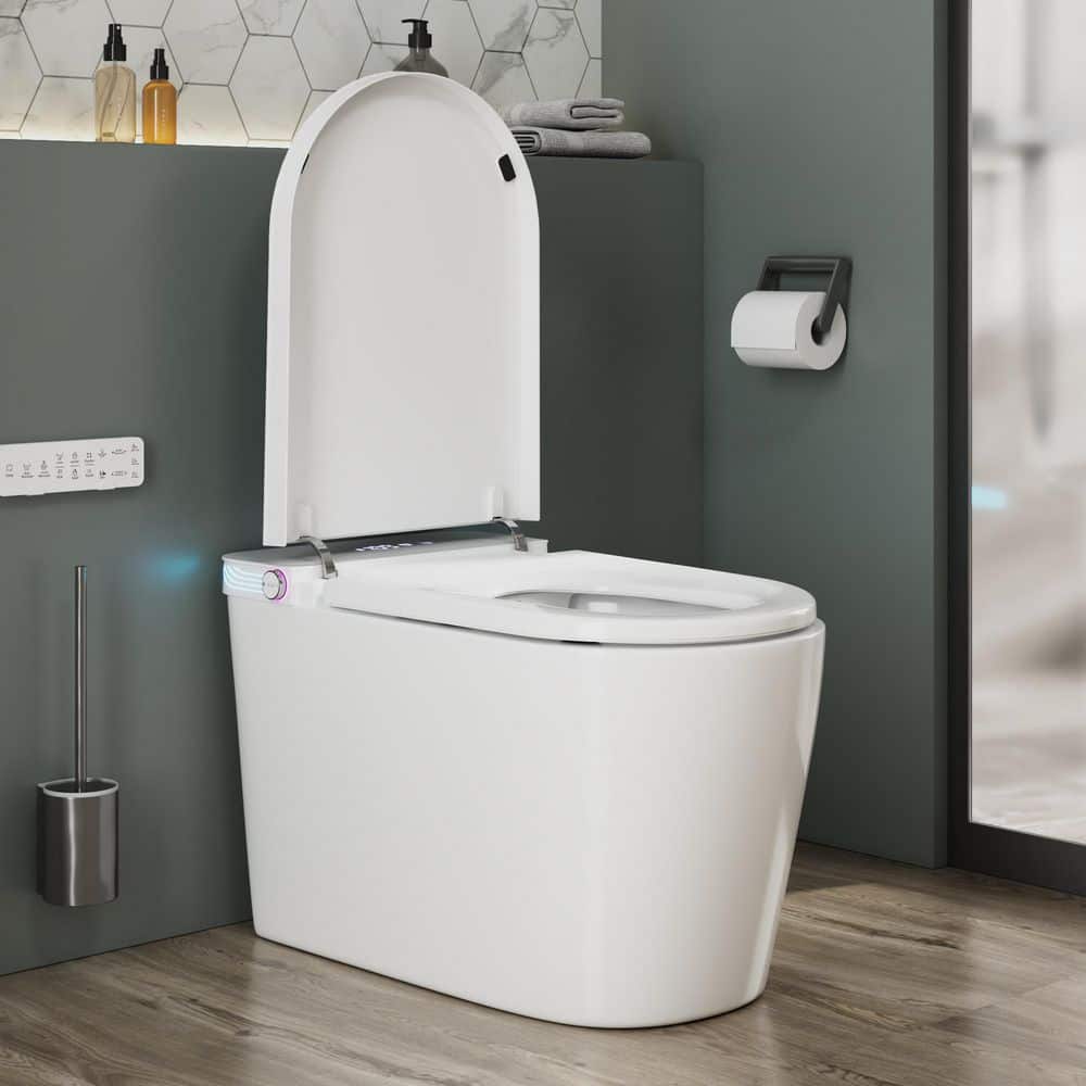Home Depot Dual Flush Toiletnull