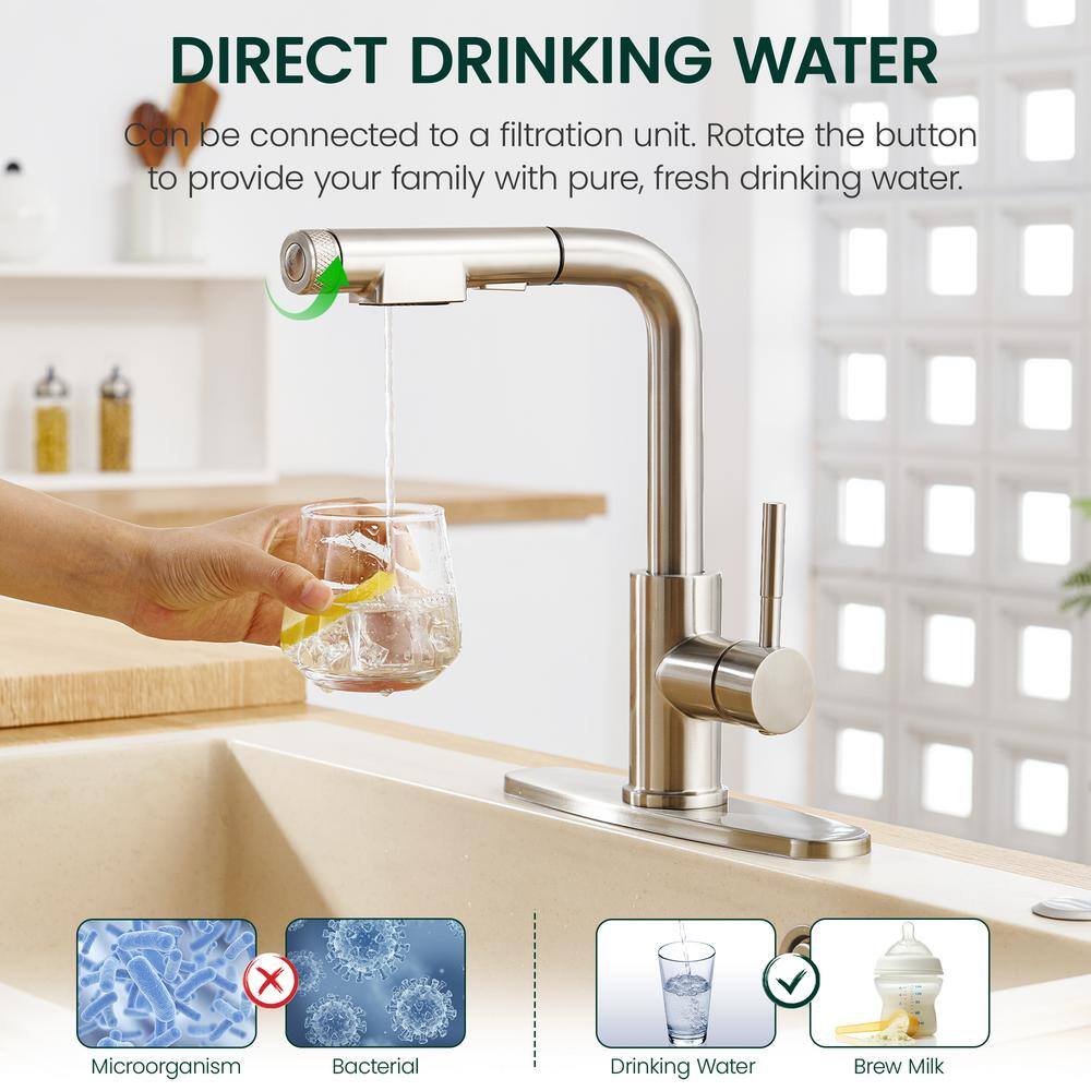 Brushed Nickel Stainless Steel Kitchen Faucet with Pull Down Sprayer