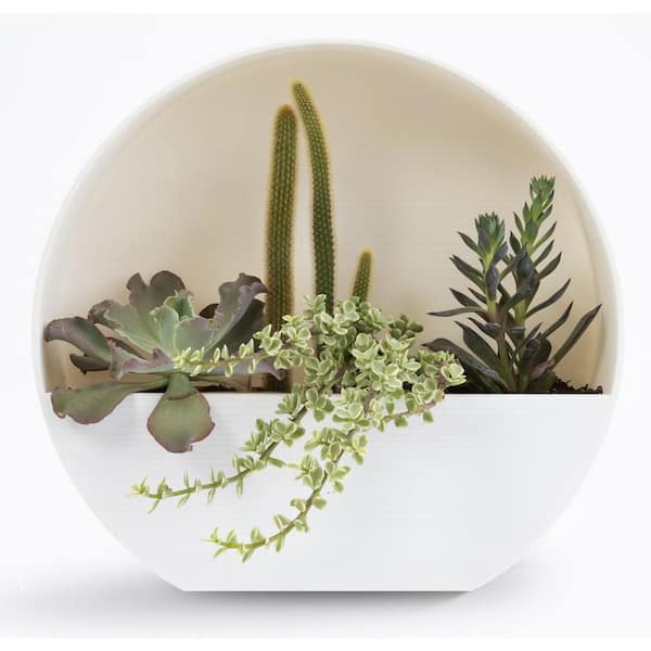 Bloem Bodye Medium 15 in. Casper White Resin Full Moon Wall Mounted Hanging Planter