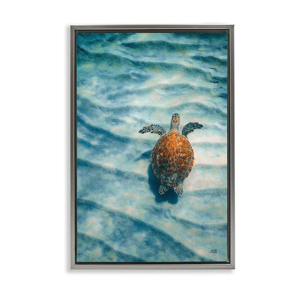Stupell Industries Turtle Along Rippling Sand by Max Blakesberg Studios Gray Floater Frame Animal Graphic Art Print 31 in. x 21 in.