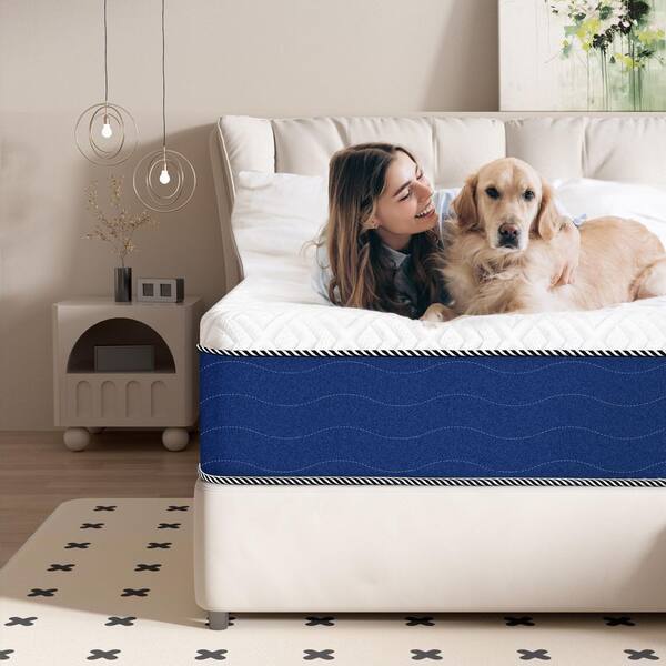 Crystli Queen Medium Gel Memory Foam Mattress 10 in. Bed-in