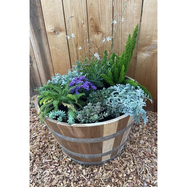 2 plants 2