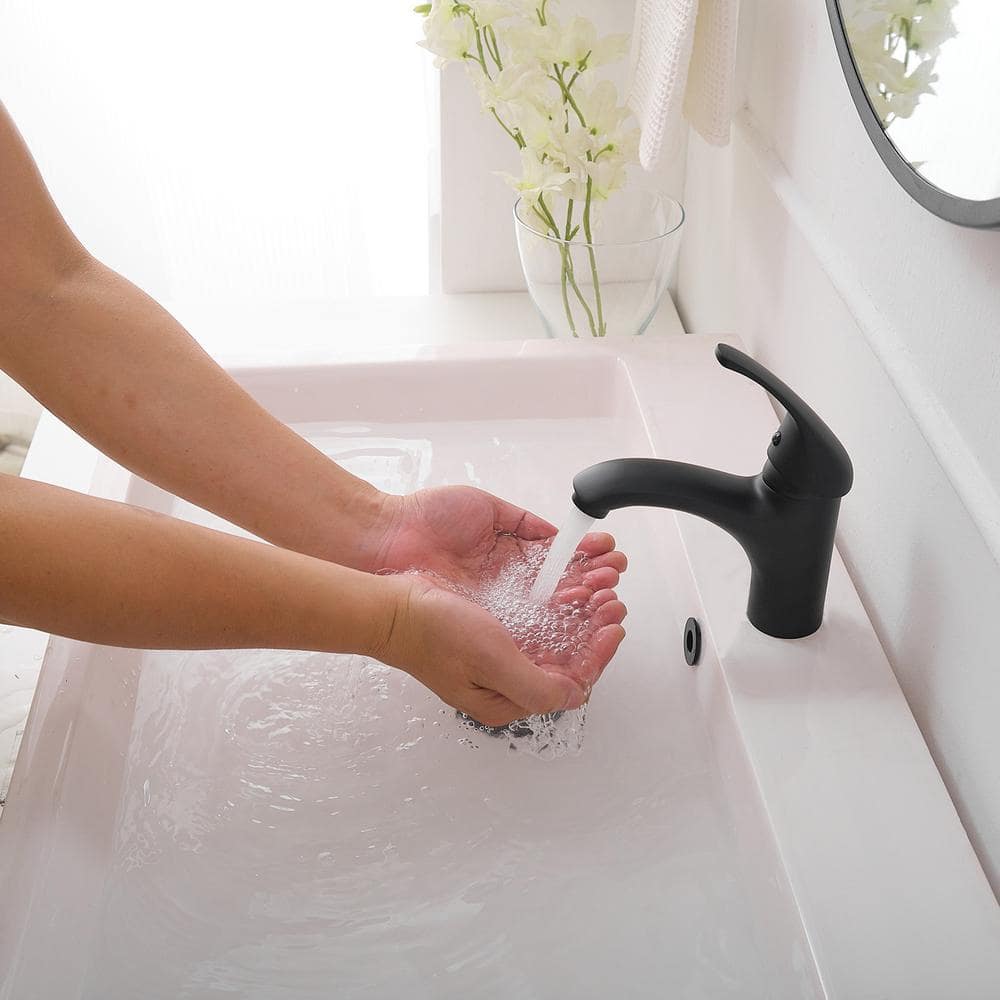 Matte Black Stainless Steel Single-Handle Bathroom Faucet
