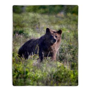 Grizzly Bear Print Sherpa Fleece Blanket