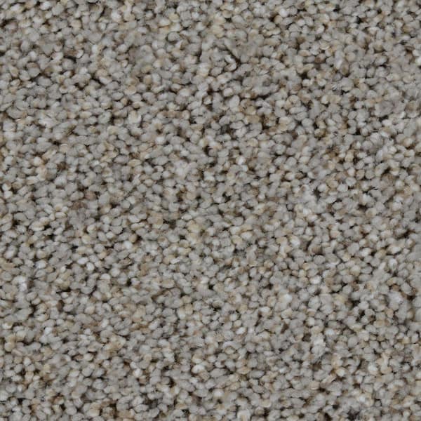 Home Decorators Collection Carpet Sample - Trendy Threads II - Color Oakmont Texture 8 in. x 8 in.