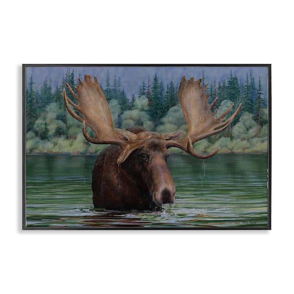 Moose Swimming in Lake by Valerie Rogers Black Framed Animal Giclee Art Print 20 in. x 30 in.