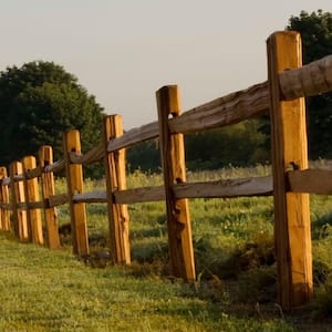 4 in. x 4 in. x 10 ft. Western Red Cedar Wood Fence Picket