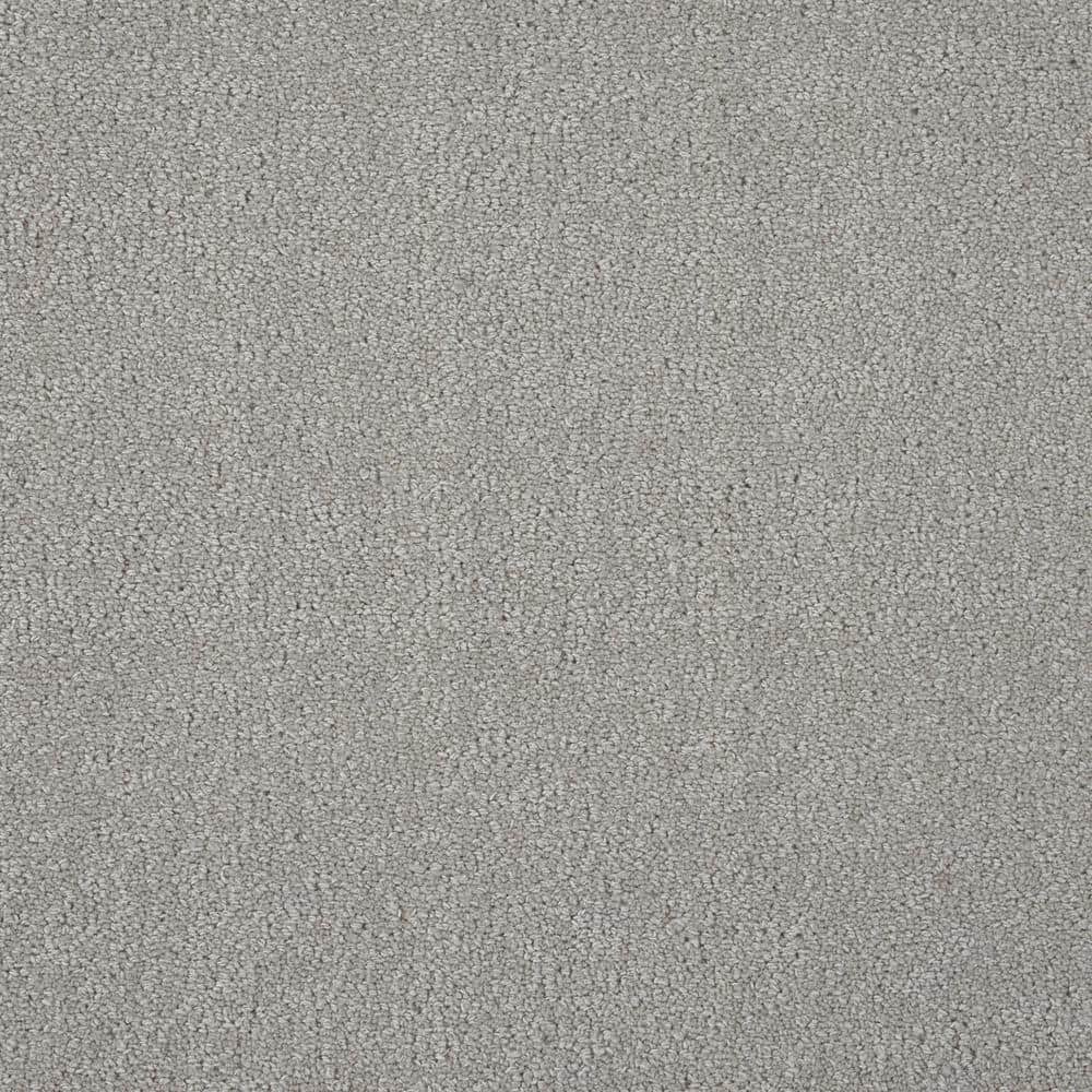 6 in. x 6 in. Texture Carpet Sample - Feather - Color Stone price history on PriceWatchPro