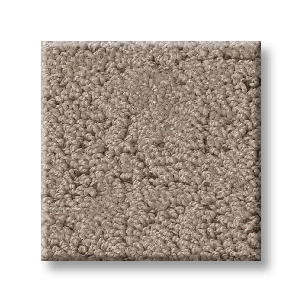 8 in. x 8 in. Pattern Carpet Sample - Endless Love -Color Wenge price history on PriceWatchPro