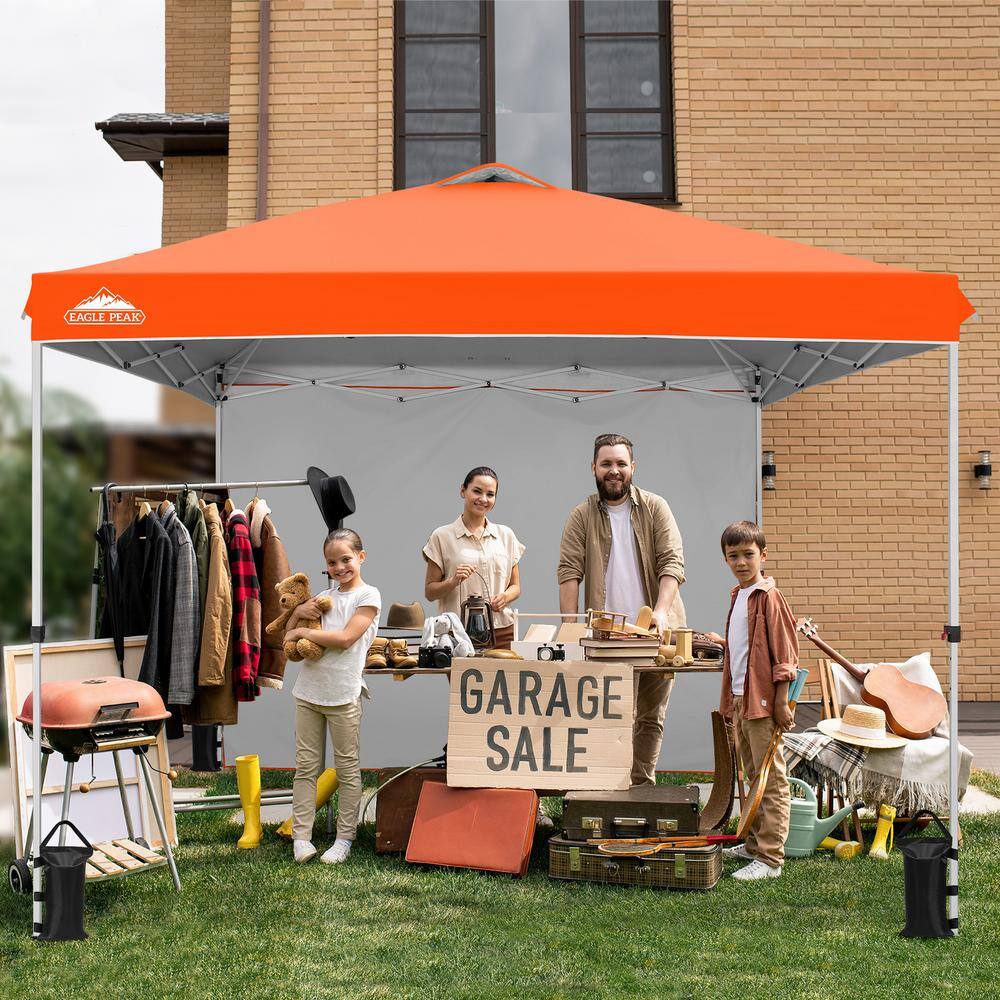 10 ft. x 10 ft. Commercial Pop up Canopy Tent with One Sidewall and 4-Sand Bags price history on PriceWatchPro
