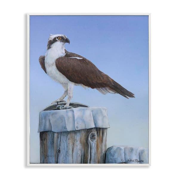 Stupell Industries Harbor Master Bird Perched by Valerie Rogers White Framed Animal Giclee Art Print 14 in. x 11 in.