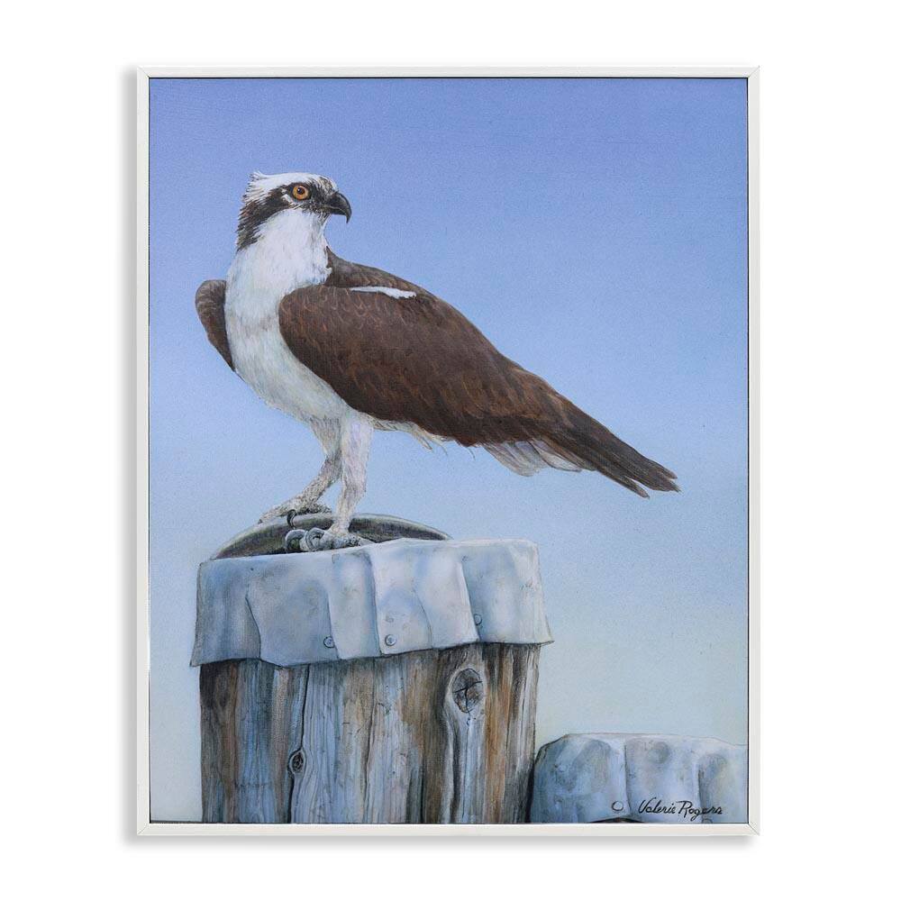 Harbor Master Bird Perched by Valerie Rogers White Framed Animal Giclee Art Print 30 in. x 24 in. price history on PriceWatchPro