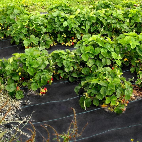 6 ft. x 300 ft. Heavy Duty PP Woven Weed Barrier, 2.4 oz. Landscape Ground Cover, 20-Year Durability