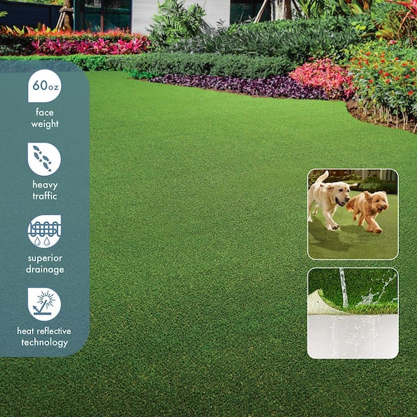 Lifeproof with Petproof Technology Premium Pet Turf 7.5 ft. x 10 ft. Green Artificial Grass Rug