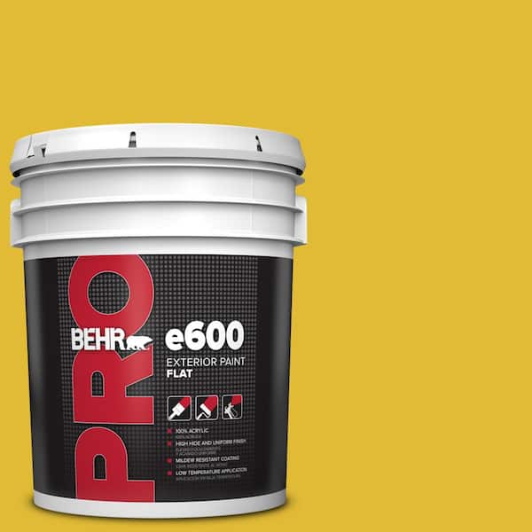 BEHR PRO 5 gal. #P310-7 Solarium Flat Exterior Paint