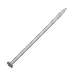 3-1/2 in. x 16D Hot Dipped Galvanized Deck Nails 1 lb. (56-Count)